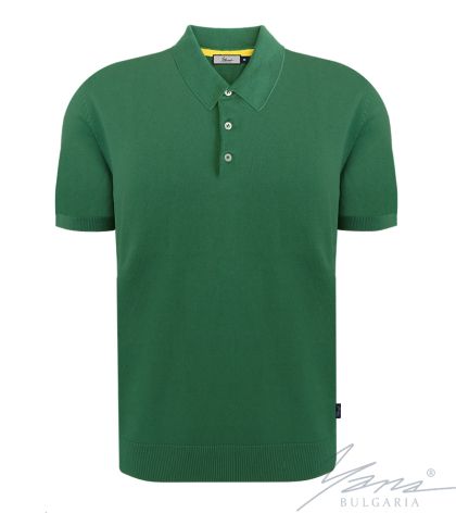 Men's polo collar shirt, short sleeves, grееn