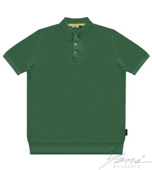 Men's polo collar shirt, short sleeves, grееn